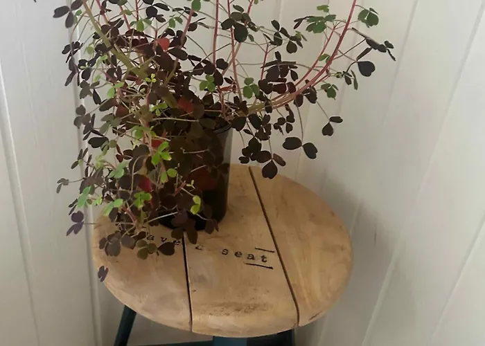 With Fire Pit And Space To Play * Højby