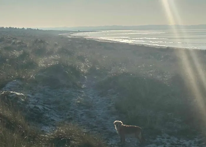 בית נופש With Fire Pit And Space To Play Højby